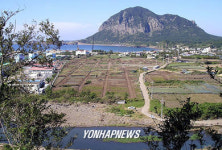 취락유적 확인된 남제주화력발전소 부지