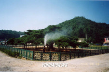 세금내는 소나무 `석송령 새단장