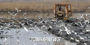 전남 간척지 어업권 1천800억원 보상