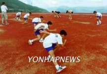 태백시 스포츠 산업 집중 육성