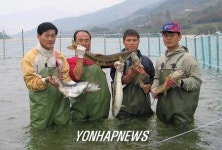 섬진강 어도 두고 전남도-구례군 논란