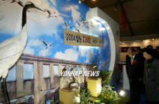 철원 DMZ 새바라기 축제 개막