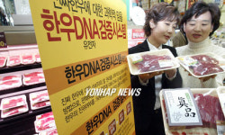 DNA검증 시스템 적용한 진품 한우 판매