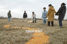 민통선 철원평야서 어린이 두루미학교