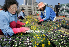 `봄이 성큼 다가왔어요