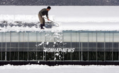 비닐하우스 눈 치우기