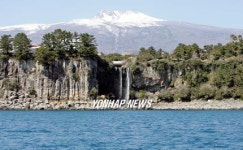 봄맞은 정방폭포