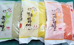 정읍대표 쌀 `단풍미인´1가마에 44만원