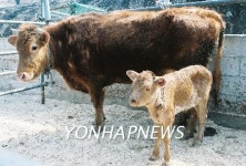 <오늘의 소사>(27일)