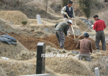 묘지 새단장 하는 손길!!