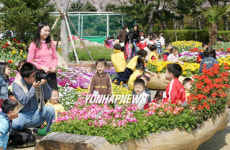 봄꽃 향기에 취하는 울산 동구