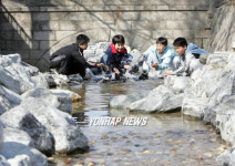 남산 장충단공원에 시냇물!!!