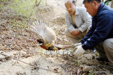 금강철새조망대 야생동물병원 역할