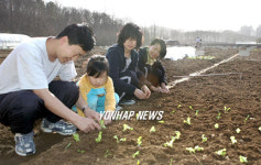 아파트 옆 주말농장 `웰빙의 꿈