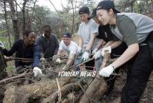 남산공원 환경정비