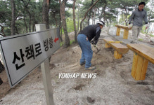 다음달 1일, 43년만에 의릉 산책로 개방