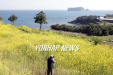 <제주도-하와이 동북아평화 위해 손잡는다>