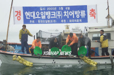 현대오일뱅크 우럭 5만마리 방류