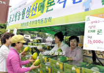 메론 출하