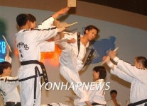 北, 태권도기술혁신경기대회 개최