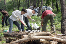 신입사원들 남산서 자연생태 복원 활동
