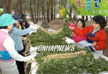 <강릉 사기막리 농촌체험 마을로 명성>