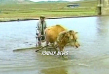 北,기름 없어도 농사는 지어야~