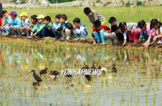 오리야 풍년 농사를 부탁해