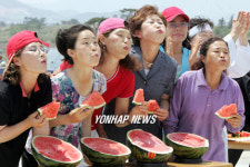 수박씨 멀리 ?기