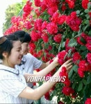 <카메라뉴스>현대차 `장미의 거리 인기