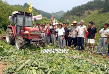 밭갈아엎는 성난 농심