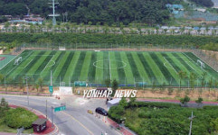 국내 최초 그린칩 인조잔디 축구장