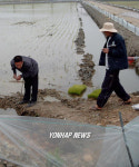 참게 인공부화, '이제 가능해요'