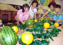 수박이 넝쿨채로
