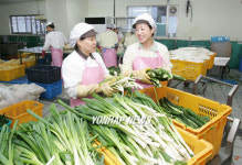 현대중 지역농수산물 한해 250억 소비