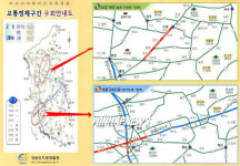 강원도 동해안 피서길 우회도로