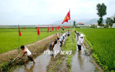 물 도랑파는 北 농장 직원들