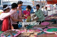 <카메라뉴스> 마른 건어물이 최고예요