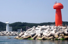 양양 물치항의 `송이모양 등대