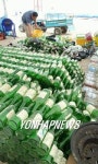 <카메라뉴스> 해수욕장서 쏟아져 나오는 소주병