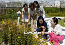 인천시청 민원동 옥상 휴식처로 인기 