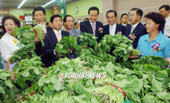 농협 하나로클럽 양재점, 새단장 오픈