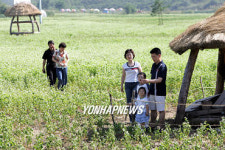 `봉평은 지금 메밀꽃 필무렵