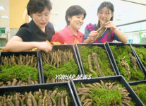 `자연산 더덕 드세요