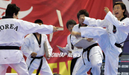 `국가대표 태권도 시범단 