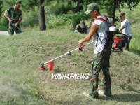 무연고 묘지 벌초하는 국군