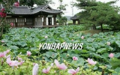 강릉 선교장 앞 도로 이설키로