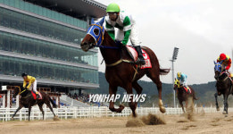 부산경남경마공원 개장