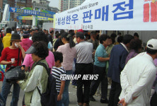횡성한우축제 인산인해
