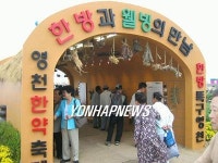 영천한약축제 인기 높아